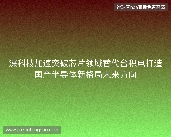 深科技加速突破芯片领域替代台积电打造国产半导体新格局未来方向
