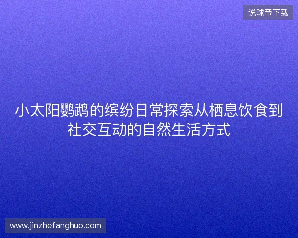 小太阳鹦鹉的缤纷日常探索从栖息饮食到社交互动的自然生活方式